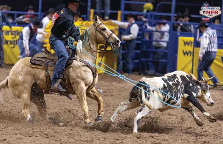 Team roping header on a palomino horse turns a black-and-white steer as his rope stretches tight at the NFR