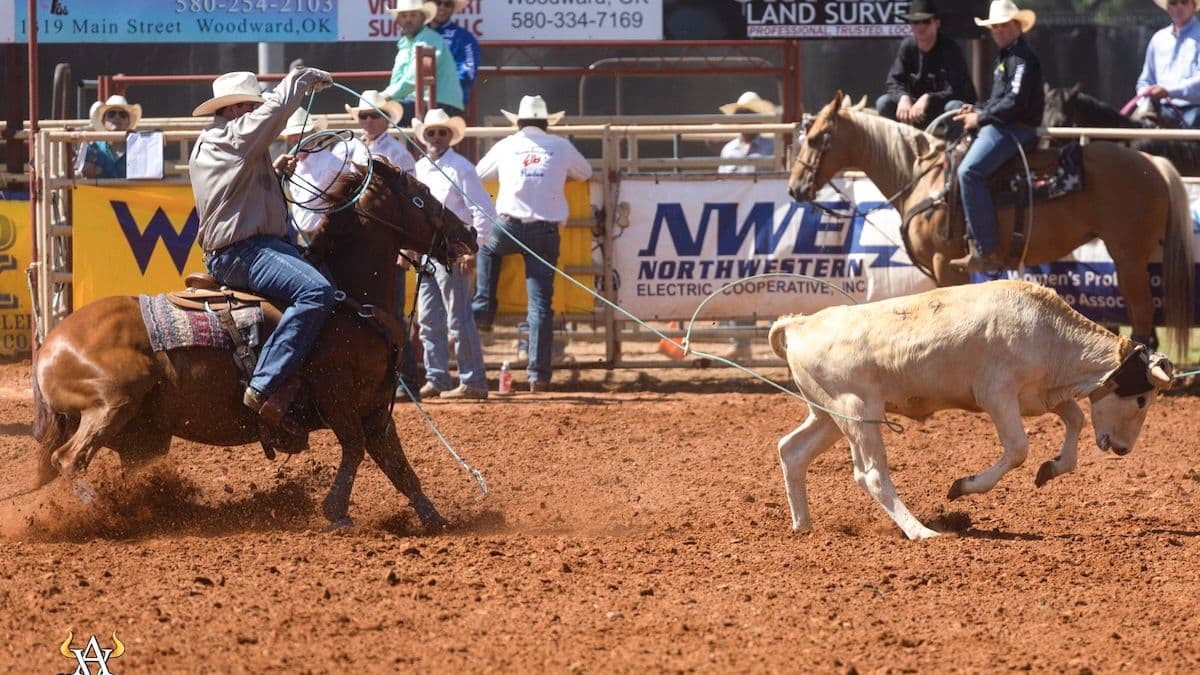 cooper freeman finding your own heeling position omp47424 0f6bfcb0 d165 4844 aaf3 7a59009177e1