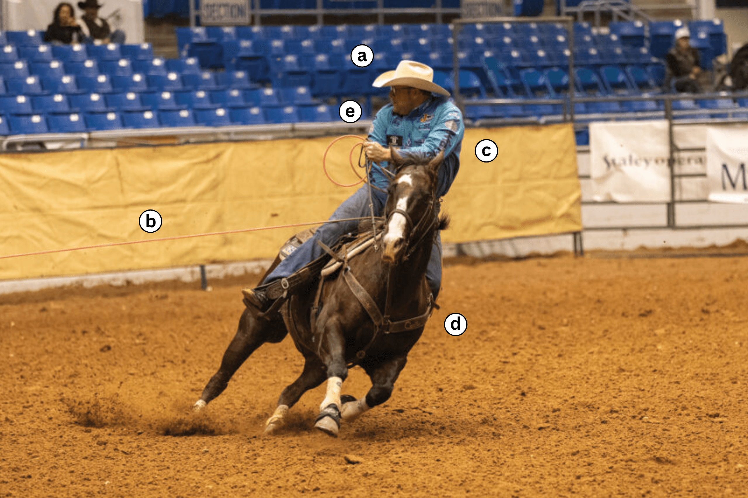 Barrel racer and horse leaning into a turn around a barrel in the arena during competition