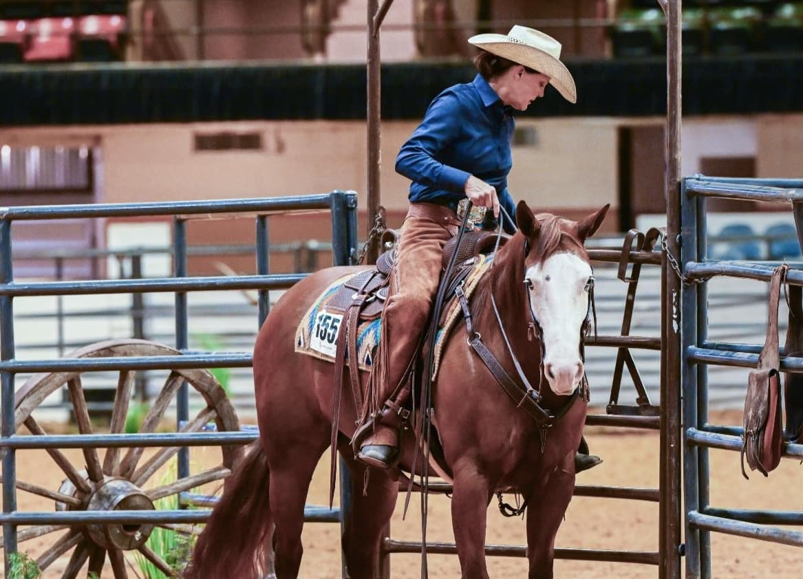 Cowboy in blue shirt and tan hat mounted on brown and white horse at rodeo arena gate, preparing for competition