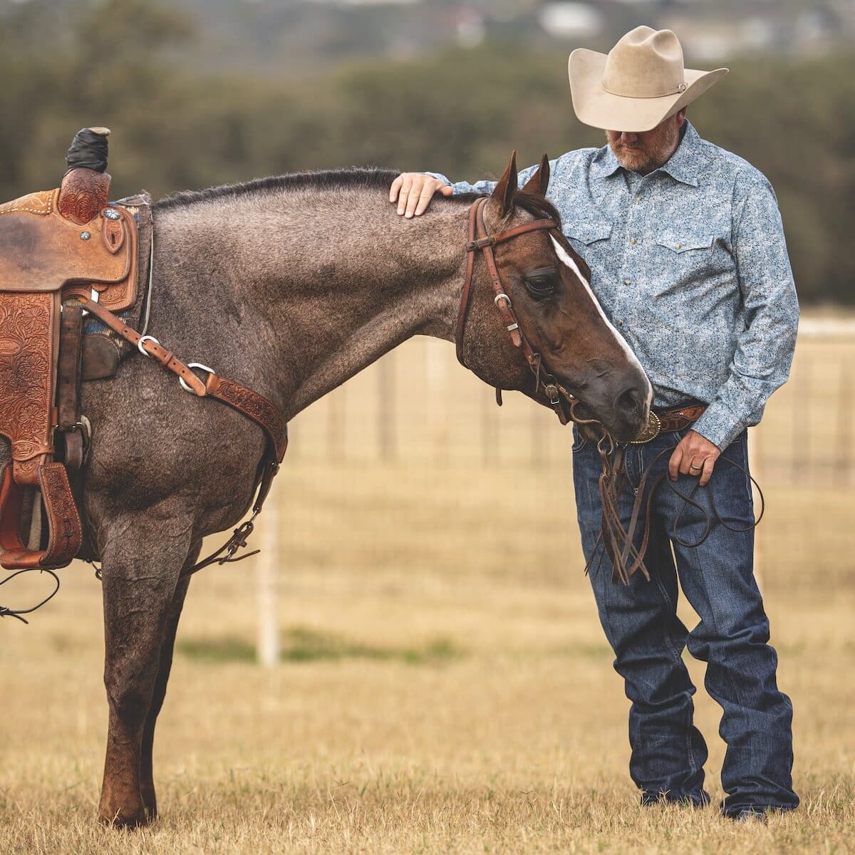 Cowboy in a straw hat and blue shirt rests his hand on the neck of a saddled roan horse standing head-low in a dry pasture