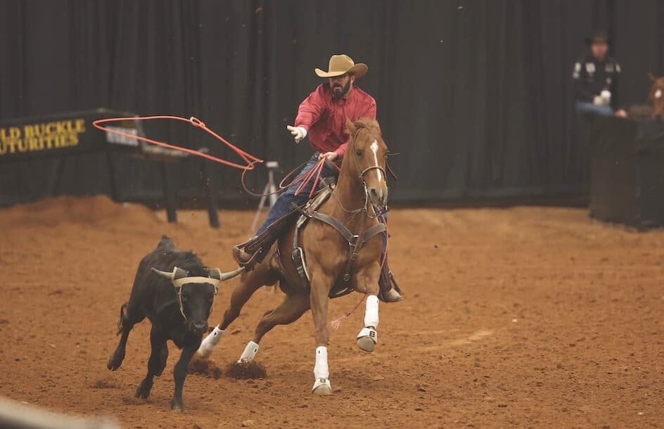 Header roper in a red shirt and tan cowboy hat swings his loop aboard a sorrel horse while chasing a black steer in an indoor arena