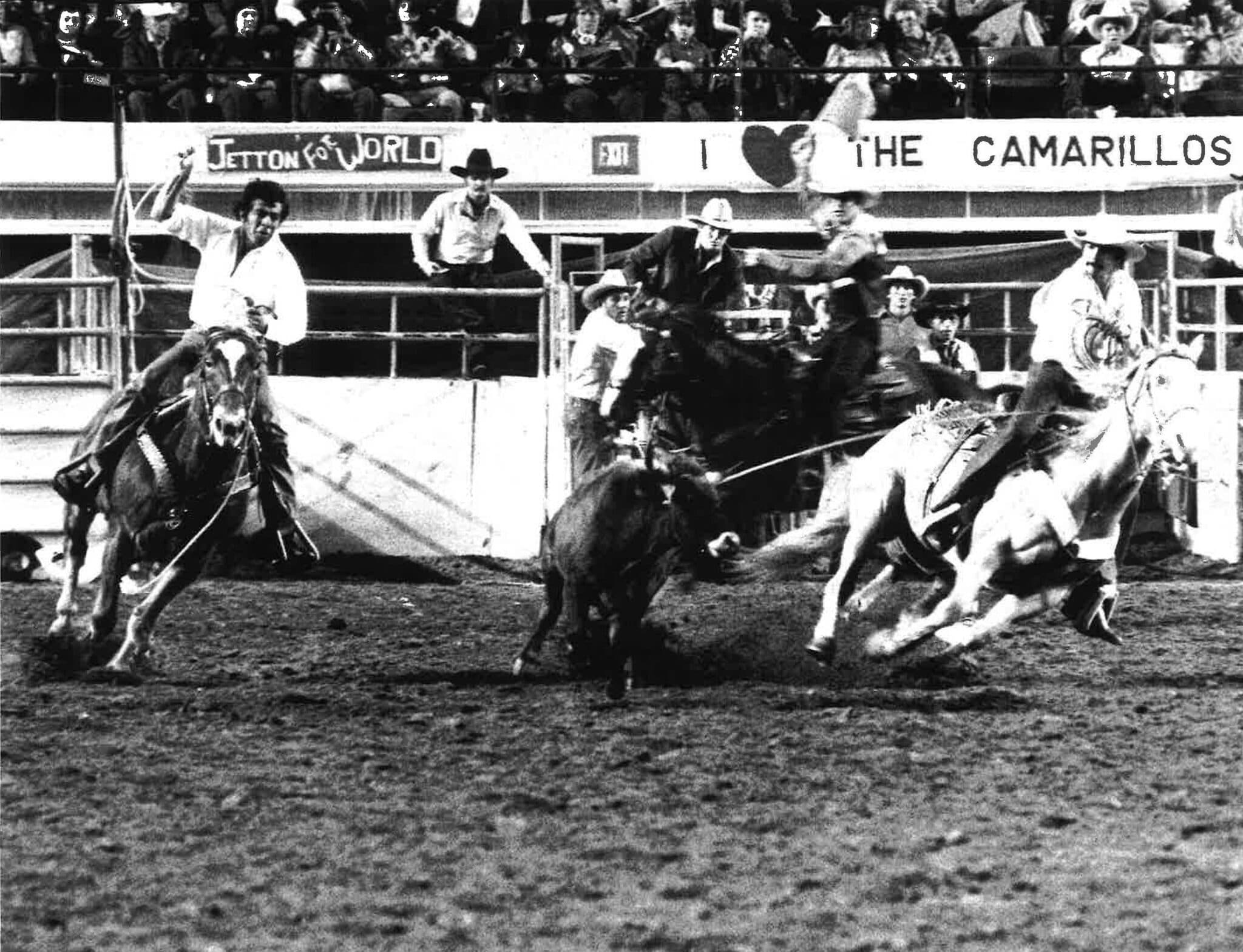 Black-and-white rodeo photo of team ropers heading and heeling a steer in an arena as a crowd and banners look on