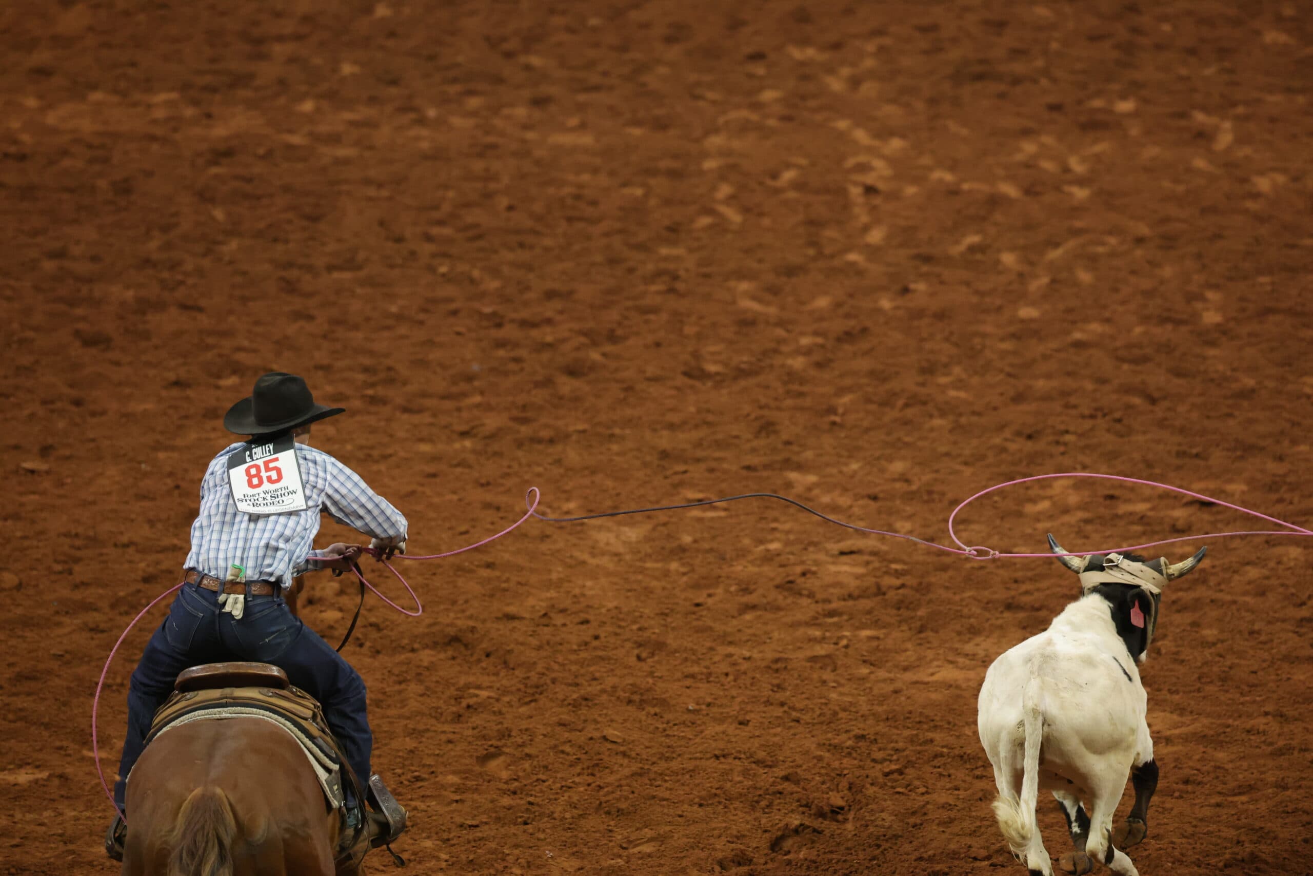 Roper on horseback swings lasso toward white calf on brown arena dirt during team roping competition