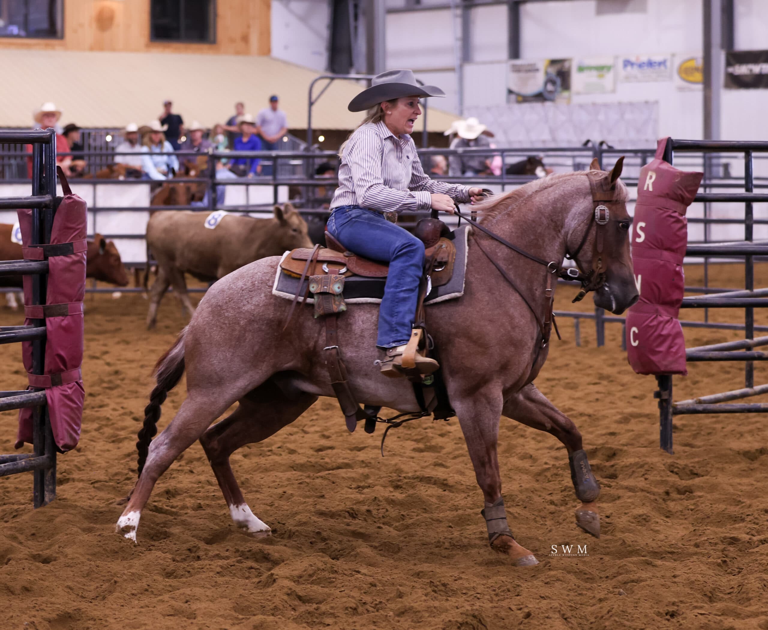 results 2026 cinch rsnc northeast circuit finals ranch sorting omp45085 8a0d46bc 267e 4ca7 9922 c79b8e5c395e