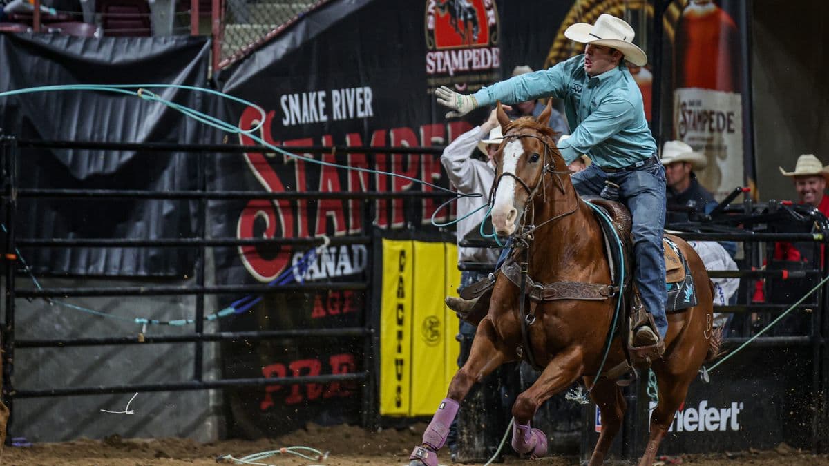 korbin rice team roper