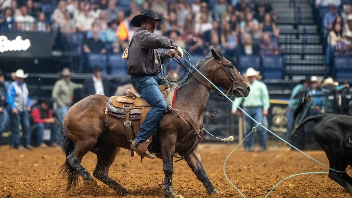 Roper on brown horse swings lasso during breakaway roping competition in indoor arena with crowd in bleachers