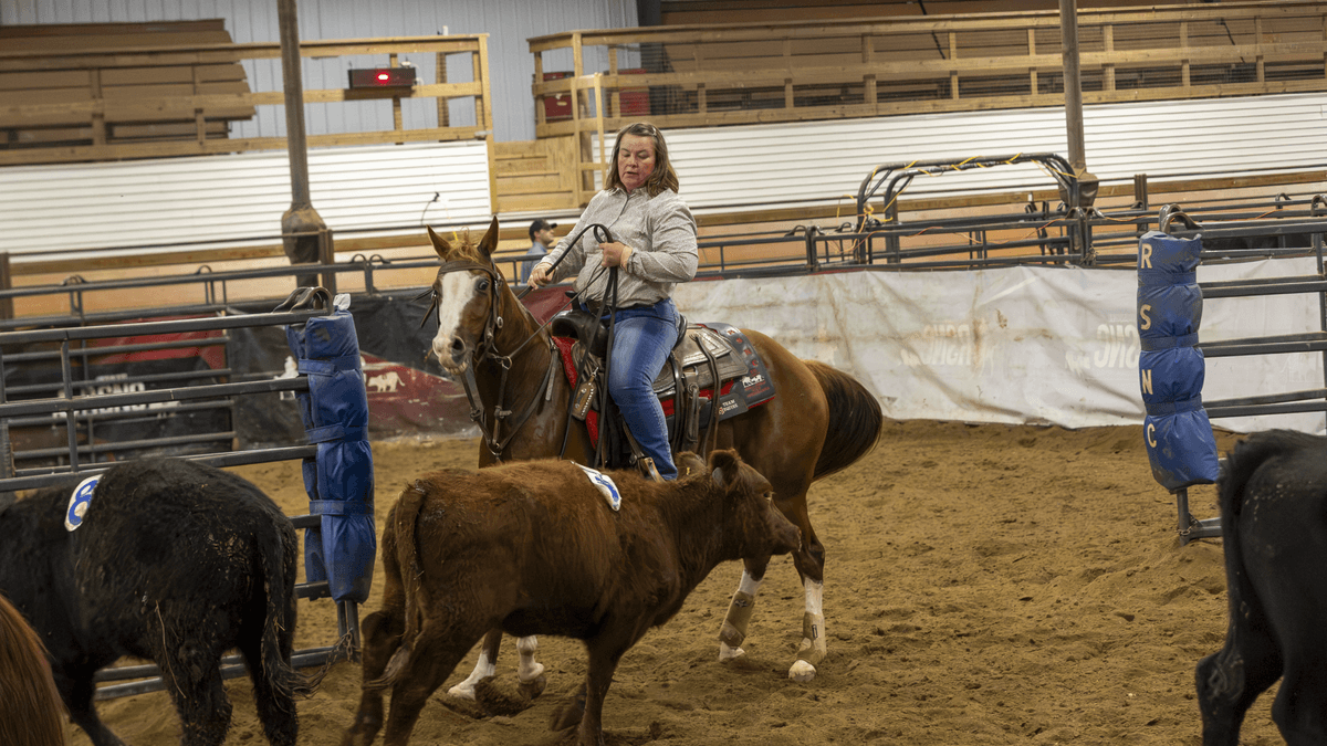 $15K Added Ranch Sorting at the 2026 Quarter Horse Congress, Live on Ride TV Oct. 16-18