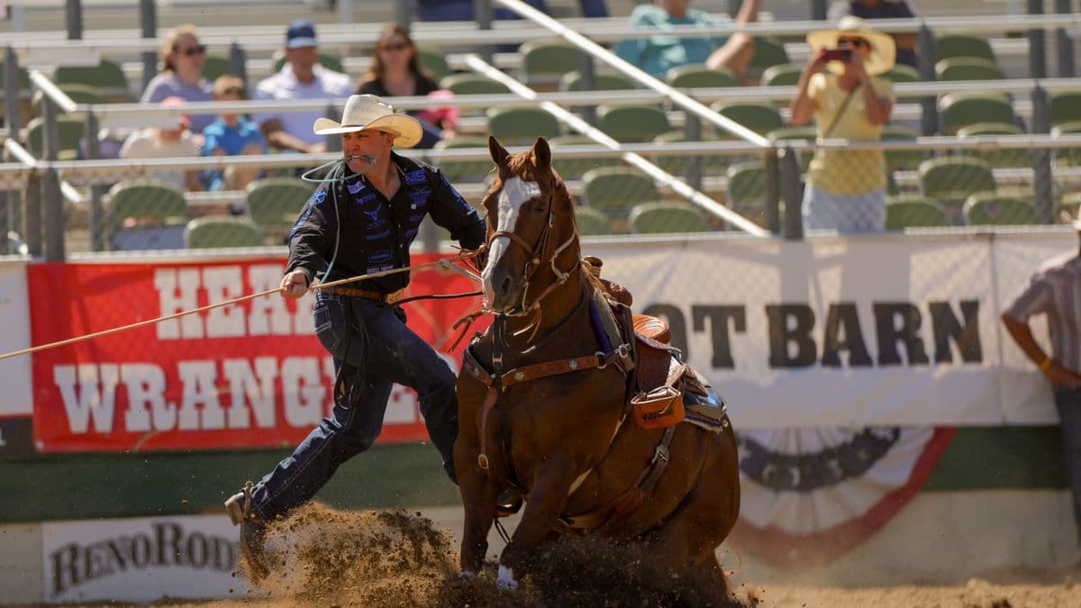 Riley Webb and Marked Up Cat "Rudy" at the Reno Rodeo in 2026.