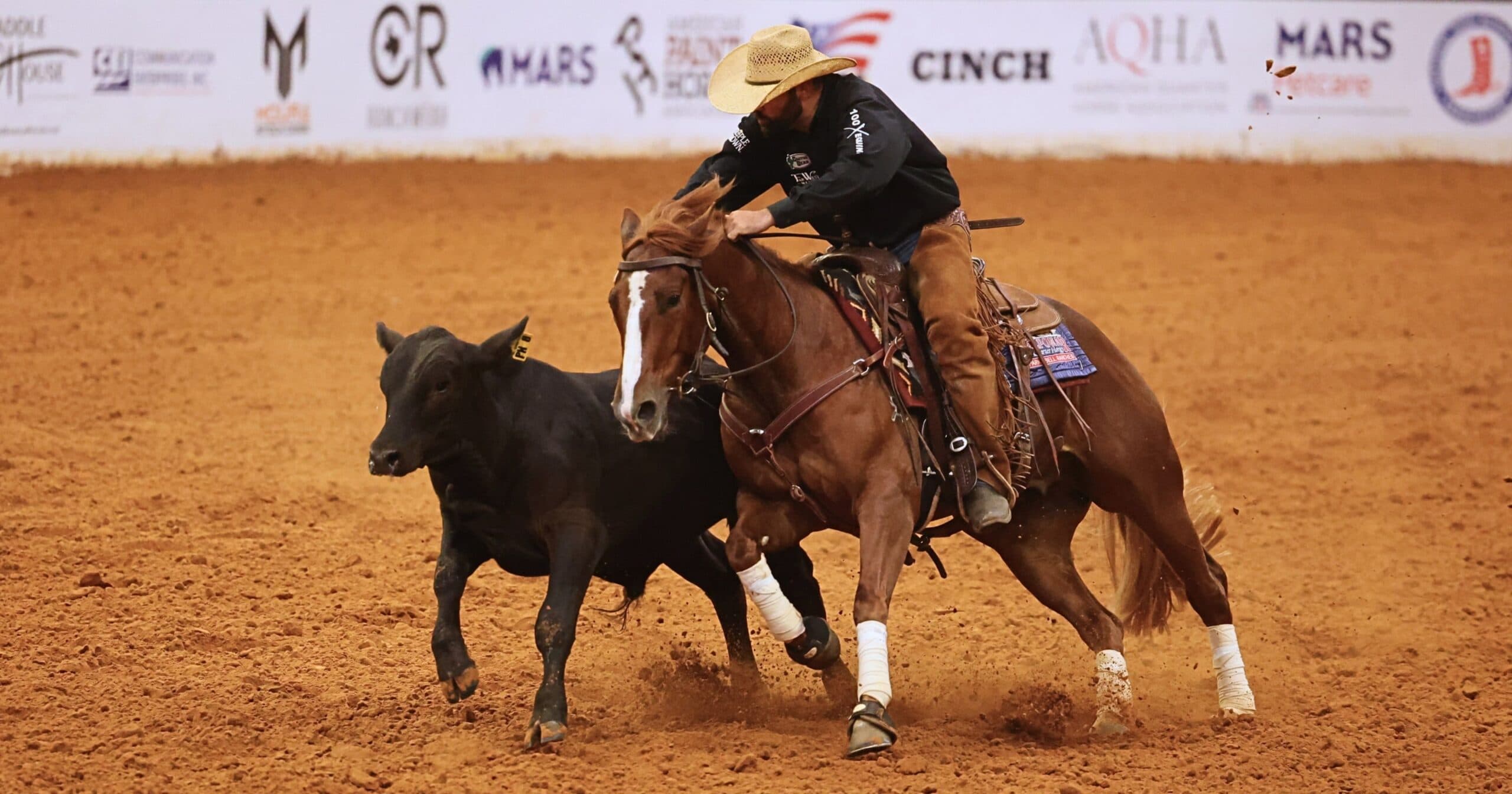 Cowboy on brown horse roping black steer during ranch sorting competition on dirt arena with sponsor backdrop