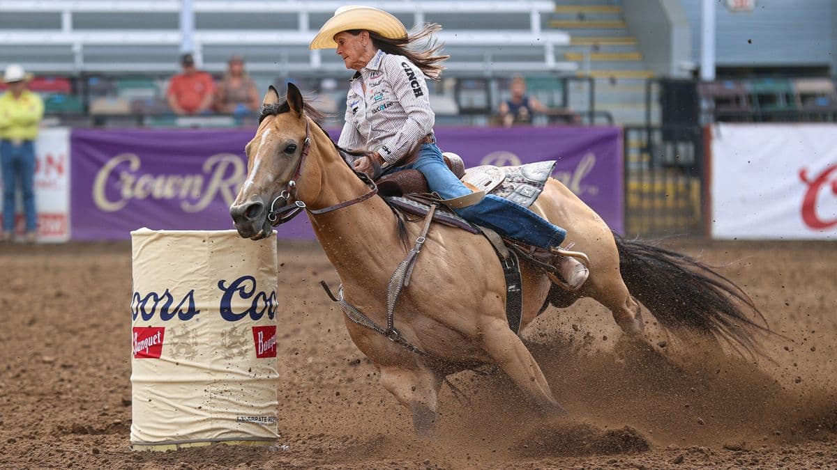 Lisa Lockhart banks a turn on the big buckskin mare, Rosa
