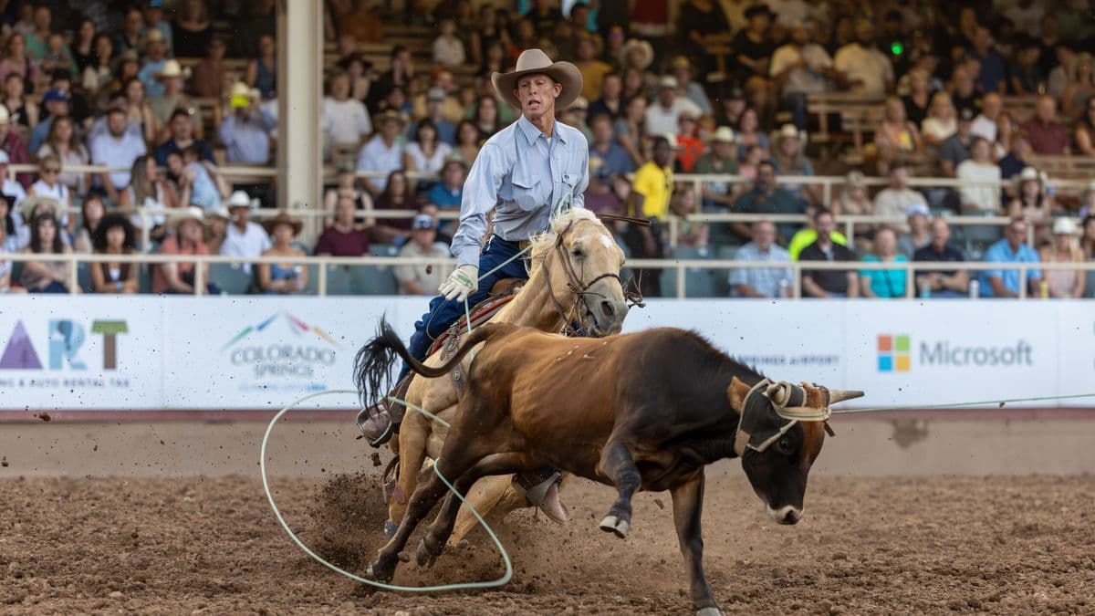 Colter Todd heeling a steer to win Round 2 of Pool A at the 2025 NFR Open.