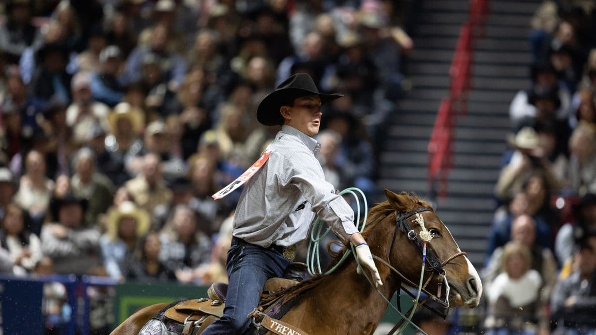 Kaden Profili heeling a steer for the Round 6 win at the 2024 NFR.