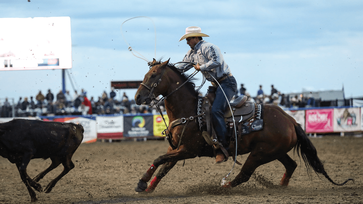 Dillon Graham heeling a steer on his first stringer Cruze.