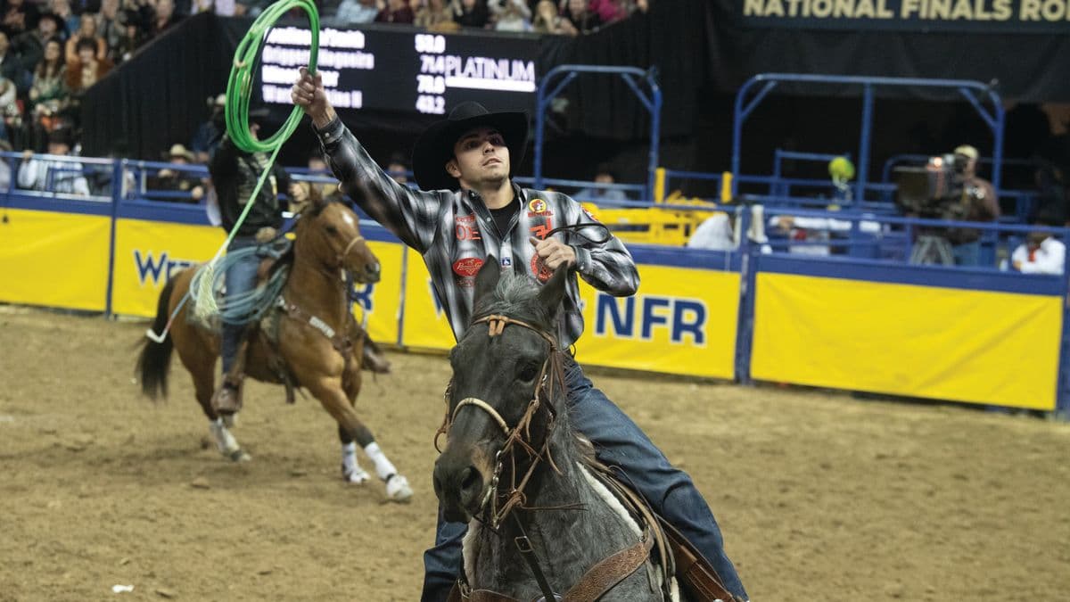 Roper on horseback spins a bright green lasso overhead while competing at the National Finals Rodeo arena