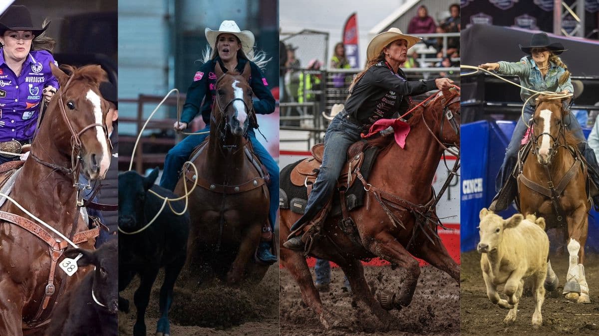 Five female rodeo competitors on horseback performing different events including roping, barrel racing, and cattle work at various rodeos