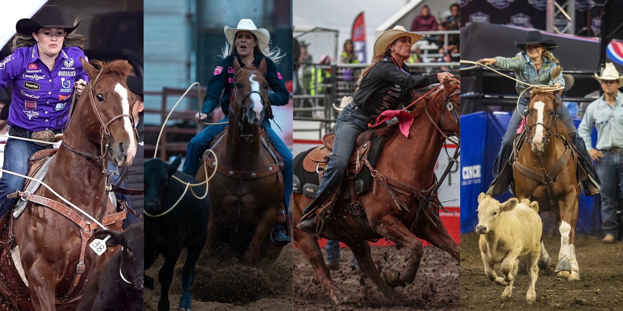 Five female rodeo competitors on horseback performing different events including roping, barrel racing, and cattle work at various rodeos