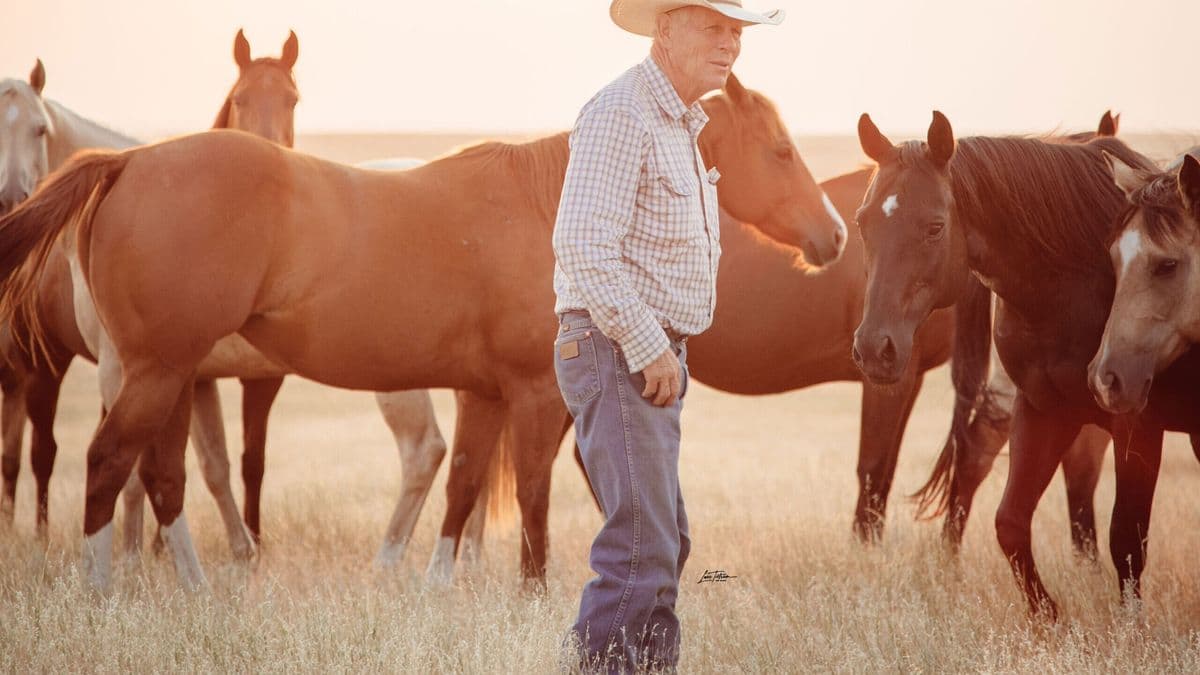 Bill Myers stands with some horses in a field
