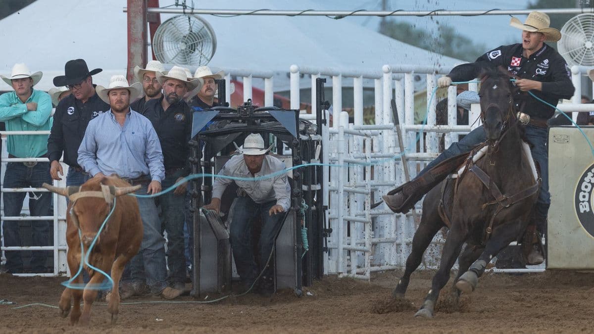 Brenten Hall heads a steer on Ernie at the Sikeston rodeo in Missouri.
