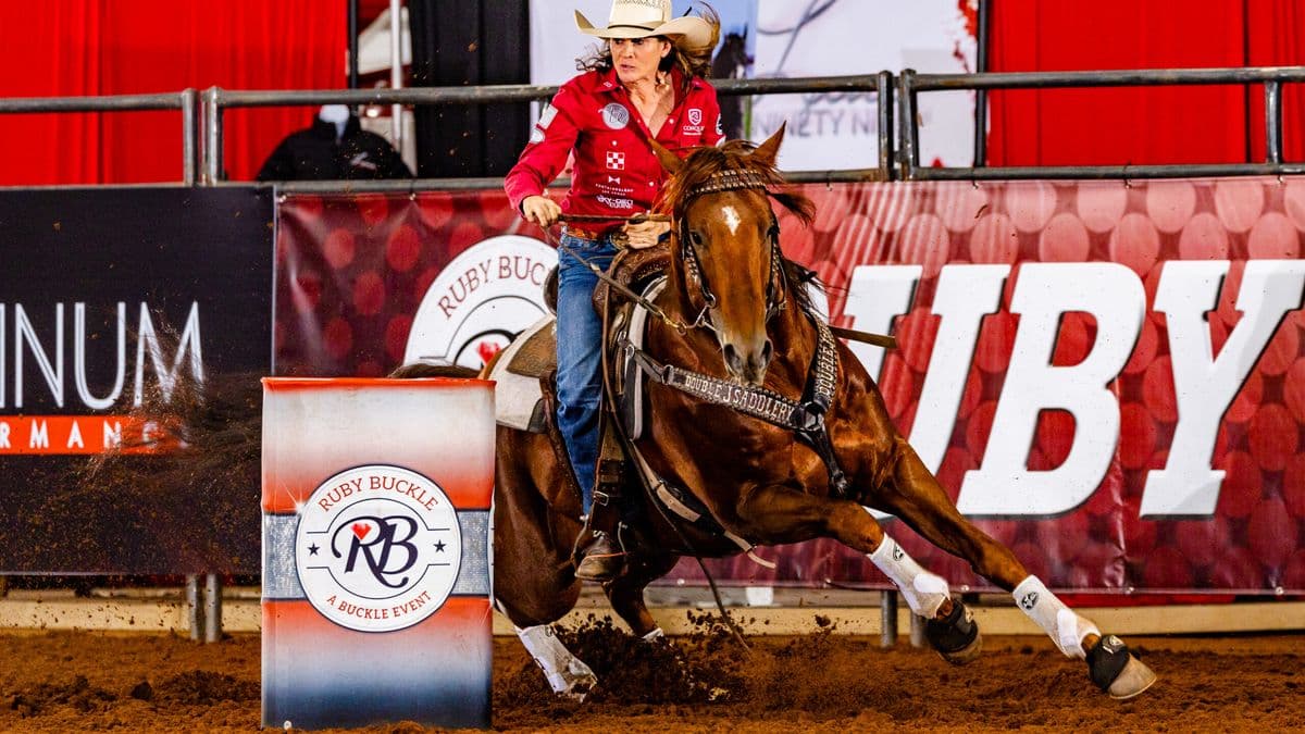 Brittany turns a barrel on her stallion