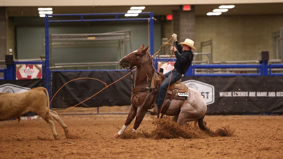 Brodie Boyce heels on Lethal MVP at the 2026 Old West World Championships in Amarillo, Texas.