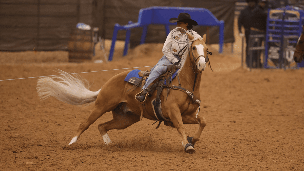 Brooke Wilson heads on a palomino at the Old West World Championships in Amarillo, Texas.