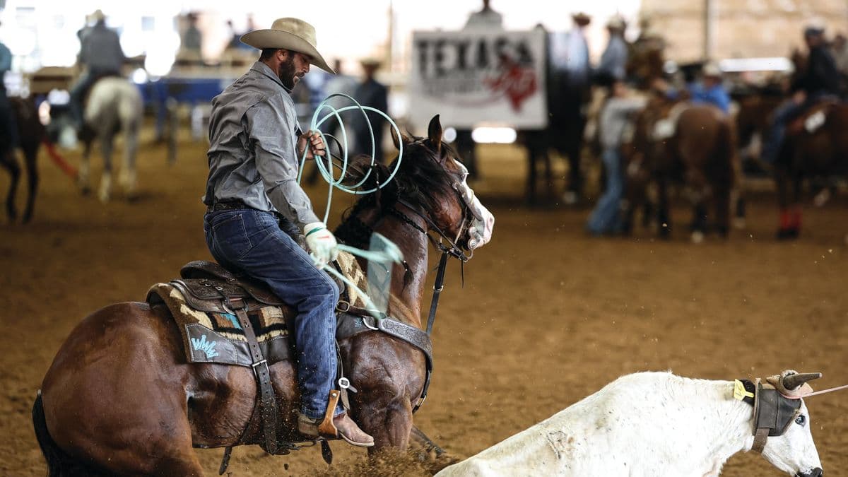 Dakota Kirchenschlager riding Smokin Stilettos at a roping