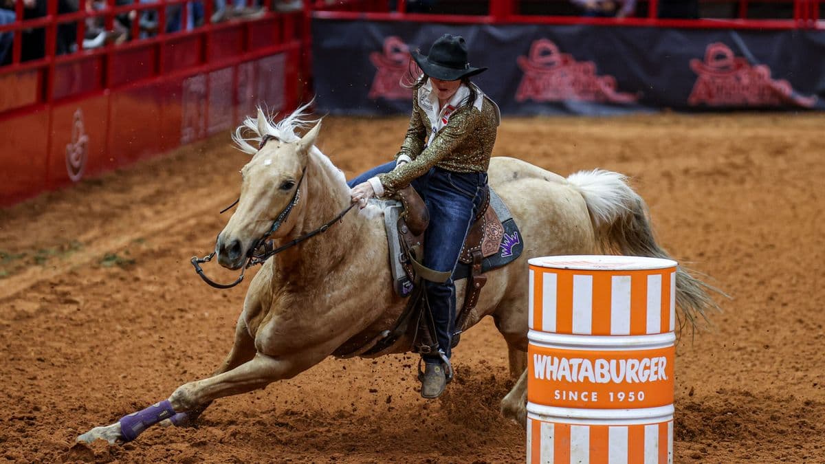Hayle Gibson Stillwell barrel racing at San Antonio