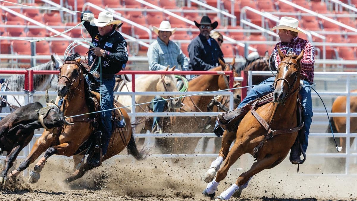 Clint Summers heading on Sweetie Pie during a run