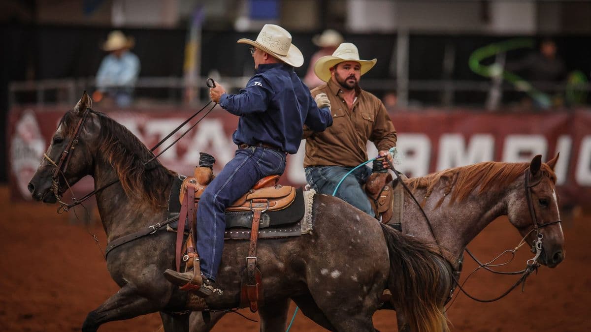Two ropers on horseback in a rodeo arena during a team roping event, with one rider holding reins while the other prepares his rope
