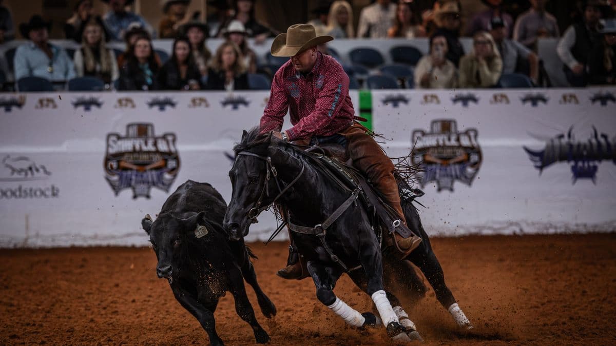 Cowboy in pink shirt and tan hat rides black horse during steer roping event at rodeo with spectators in bleachers behind branded barrier