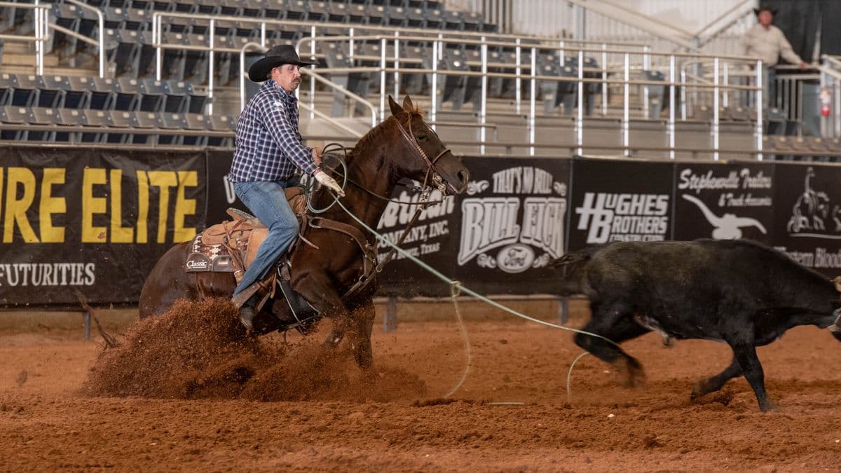 Jeremy Buhler heeling on SLR Swinging Hickory, the highest-earning futurity mare in rope horse history