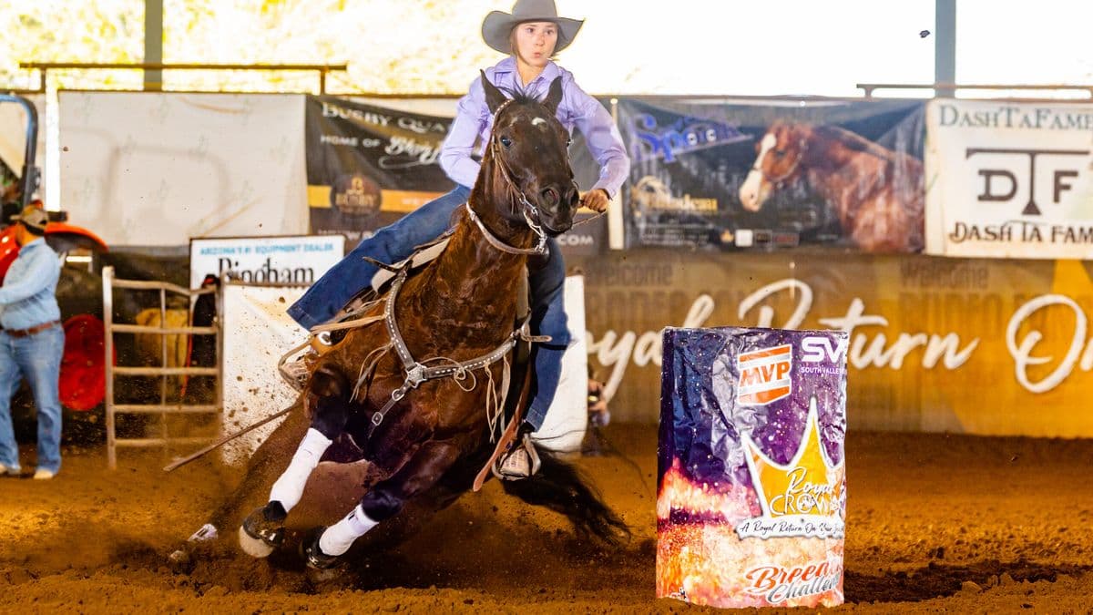 Payton Johnson turns a sparkly barrel on her futurity horse