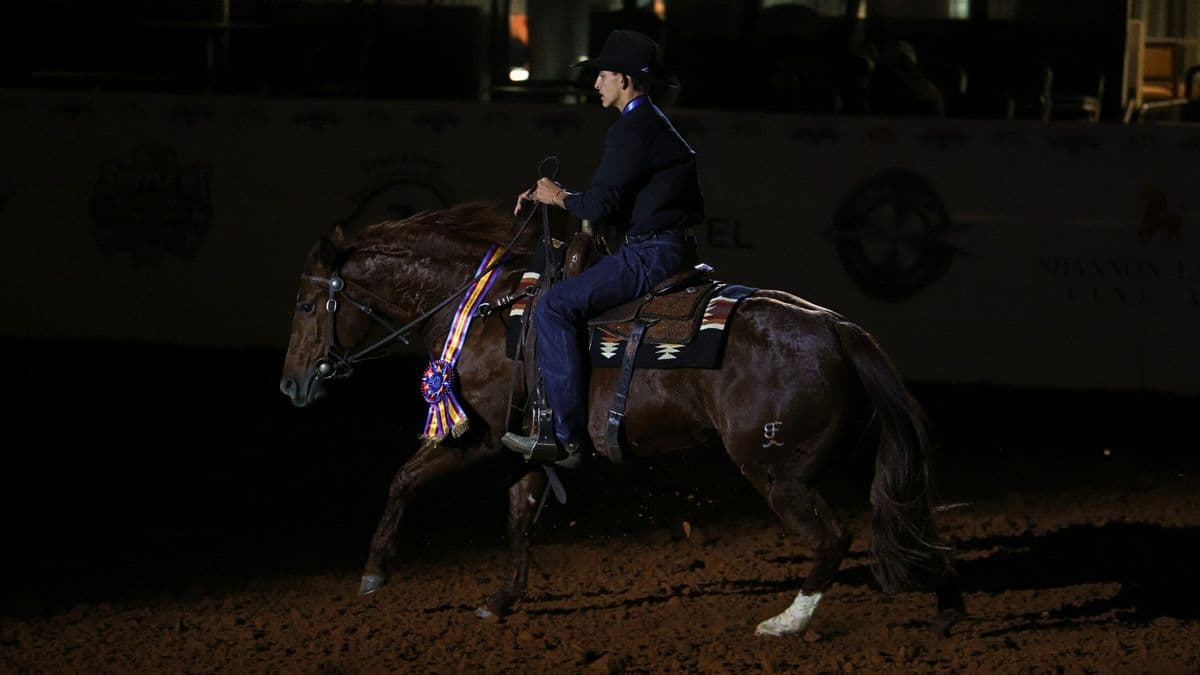 Rider in dark jacket and cap on brown horse wearing decorative saddle blanket and blue ribbon rosette in nighttime arena setting
