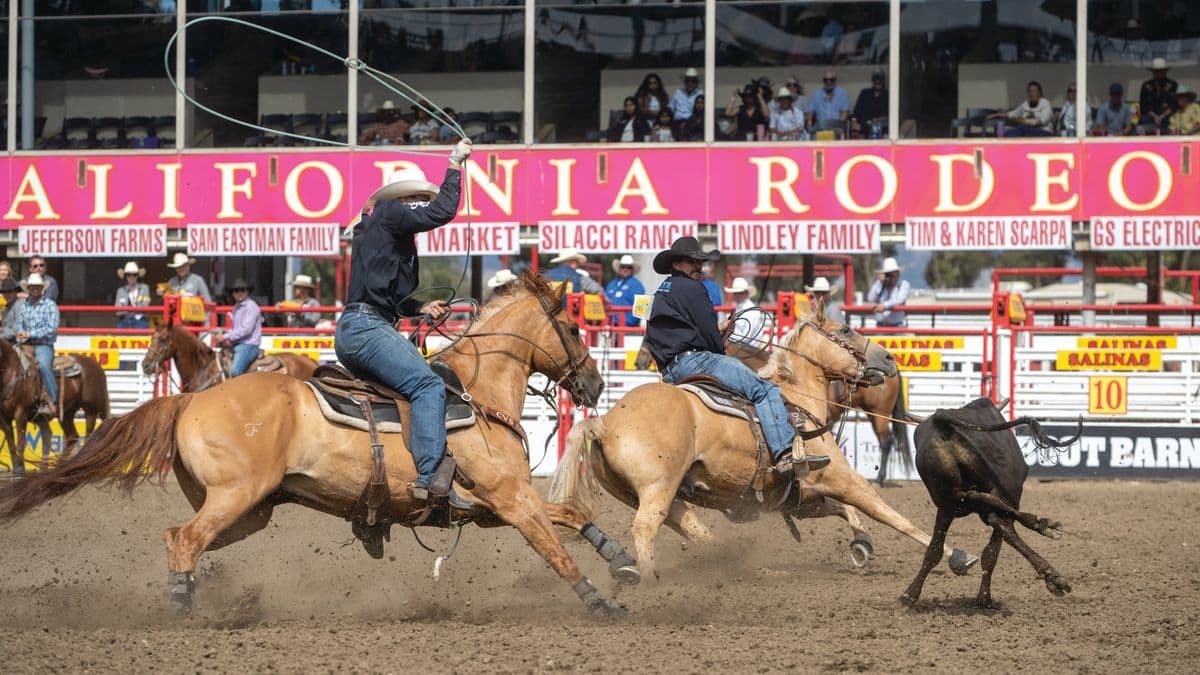 Dawson Graham heading on Outlaw with brother Dillon heeling at California Rodeo Salinas
