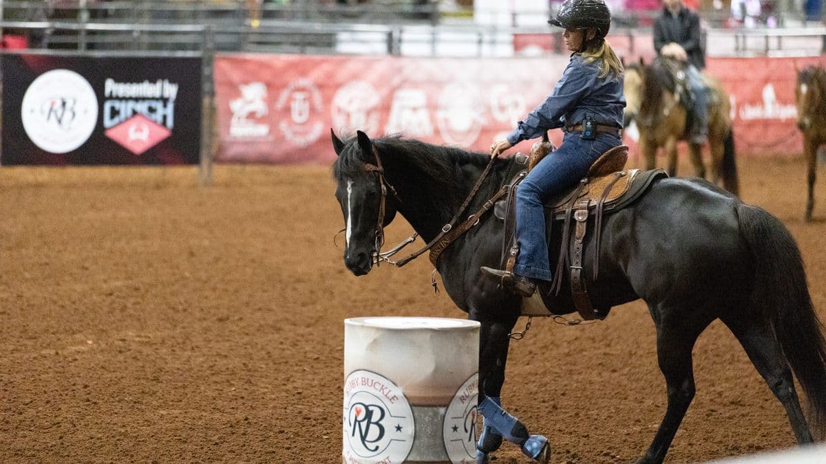 Rider in helmet and denim shirt guides a black horse in blue boots around a Ruby Buckle barrel in an indoor arena