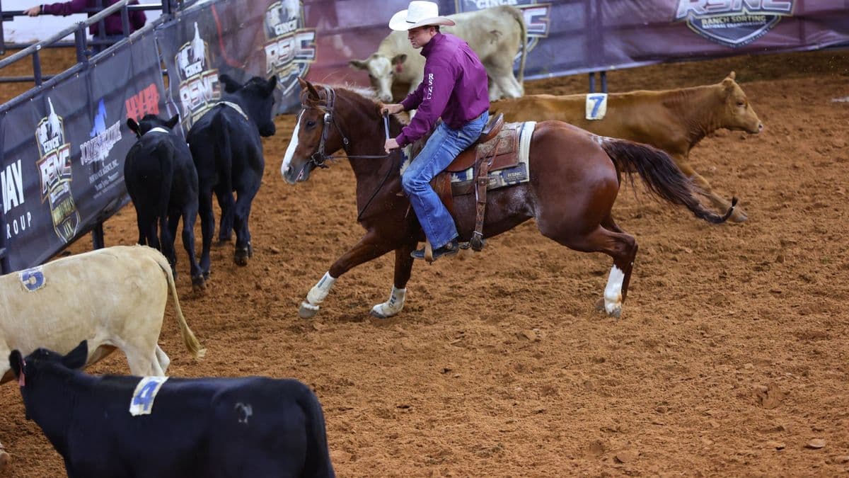 Logan Wolfe sorts cattle on a chestnut horse at the 2026 Cinch RSNC World Finals in Fort Worth