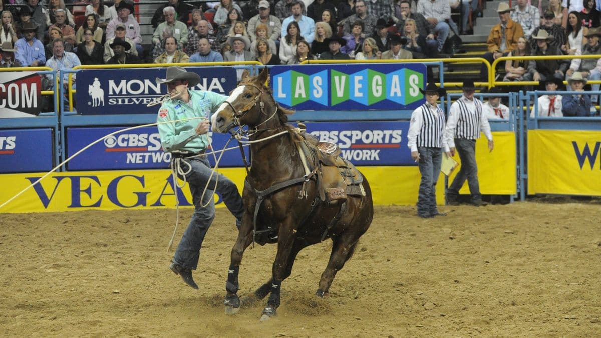 Clint Cooper on Sweetness in Round 8 at the 2014 NFR