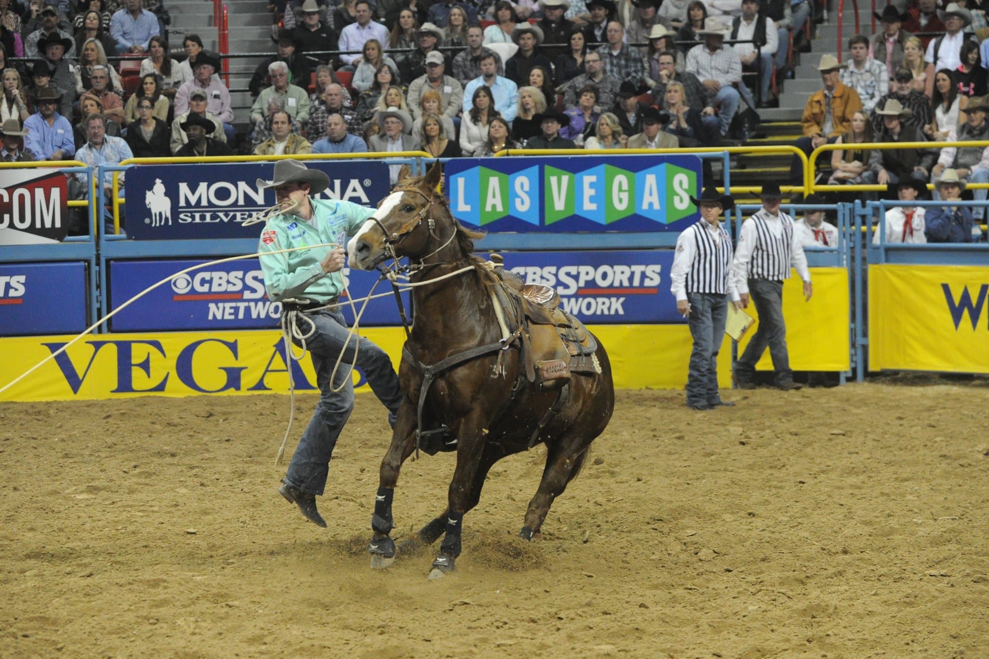 Clint Cooper on Sweetness in Round 8 at the 2014 NFR