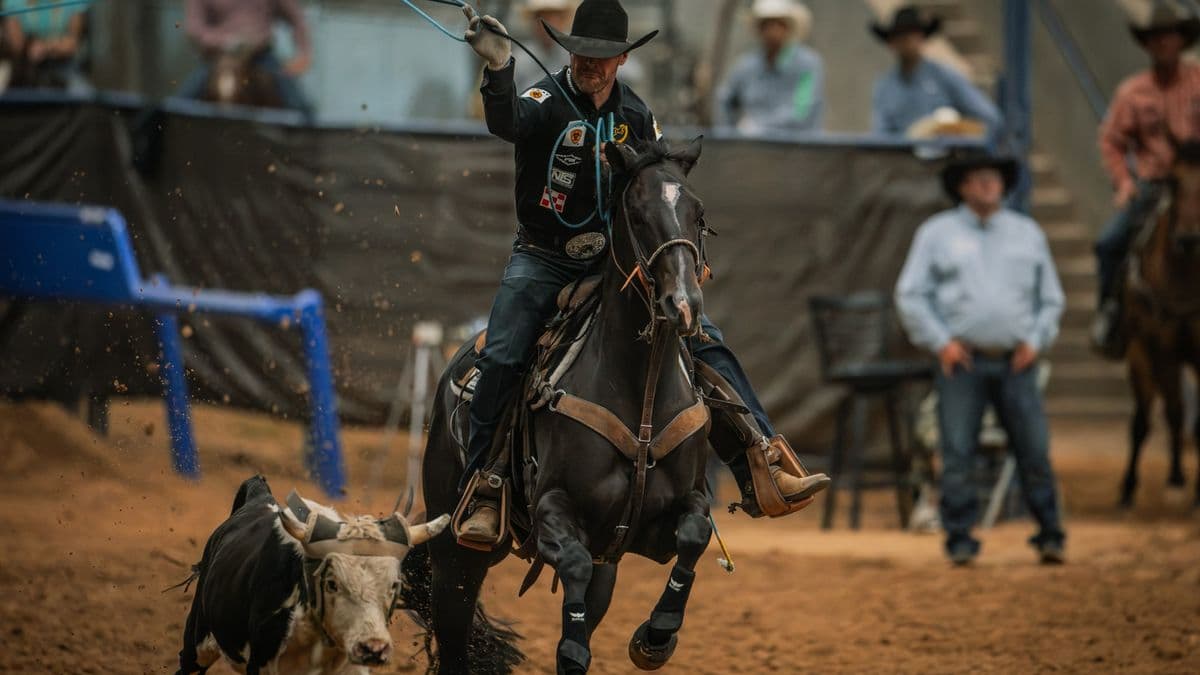 Miles Baker swings his rope on Fendiii as a steer runs ahead in the arena at the Old West World Championships in Amarillo, Texas.