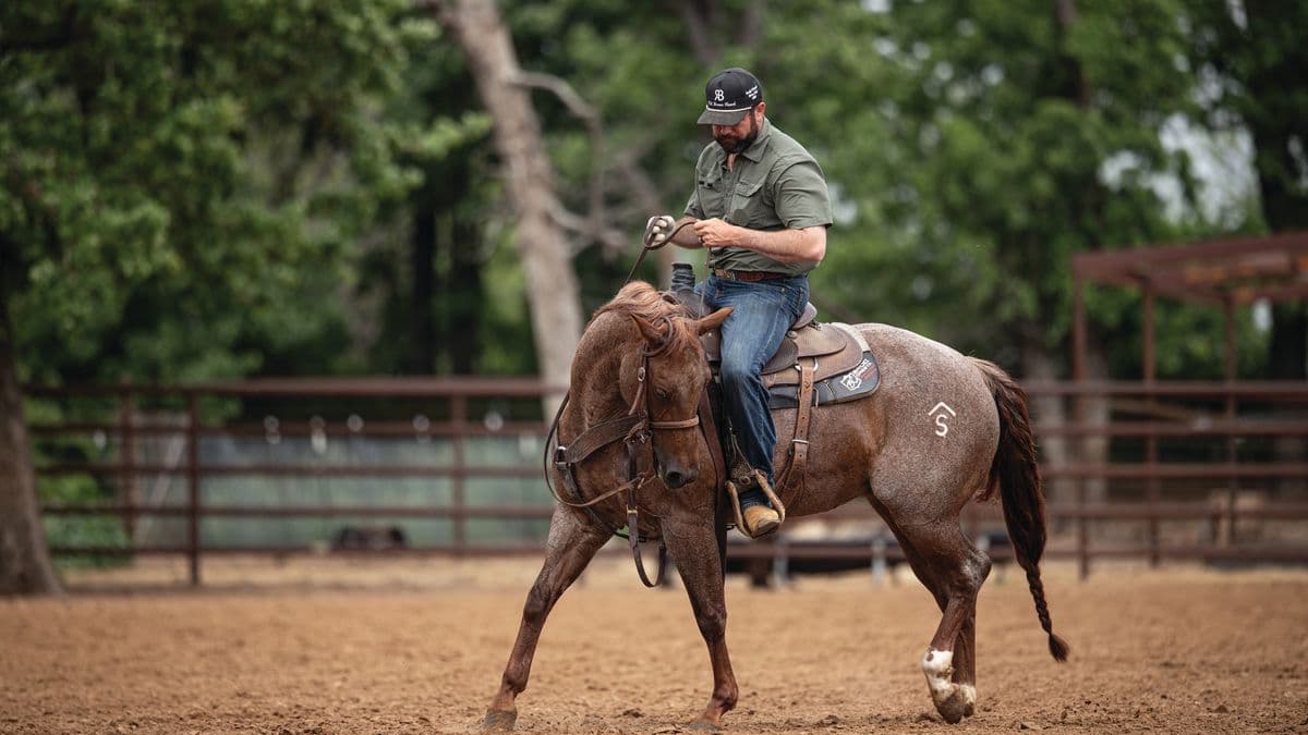 Paul Eaves riding a red roan horse in a practice pen