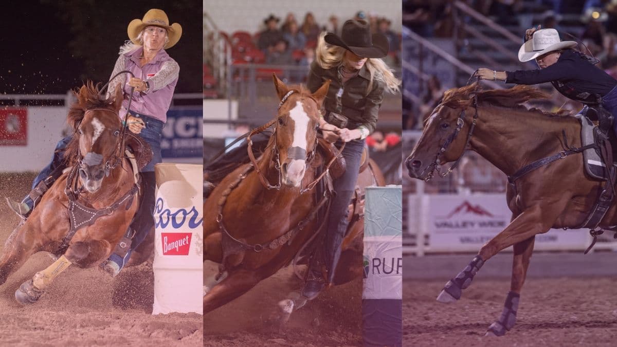 Number Crunching: What (Unofficially) Has to Happen for Barrel Racers Chasing the NFR