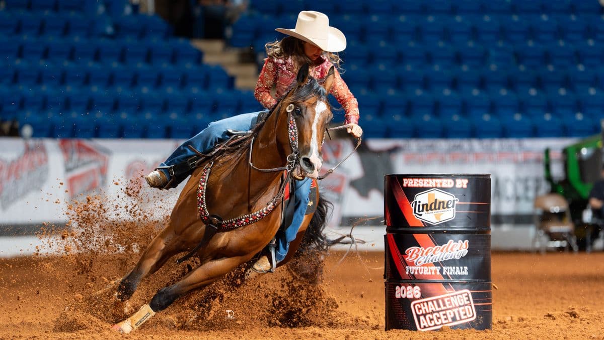 2026 Breeders Challenge Championship Finale Results: Live From Fort Worth