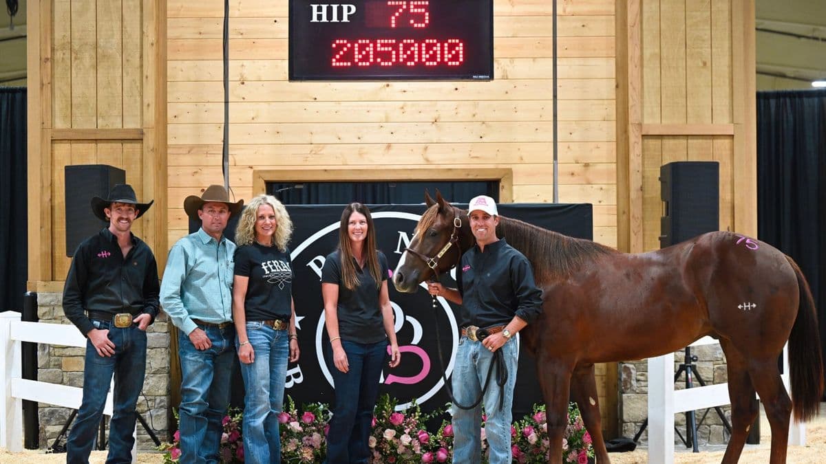 Hes The Goodz, a sorrel yearling colt, stands in the sale ring with his consignors and buyers under the board showing Hip 75 at $205,000 at the 2026 Pink Buckle Stallion Owners Select Sale.