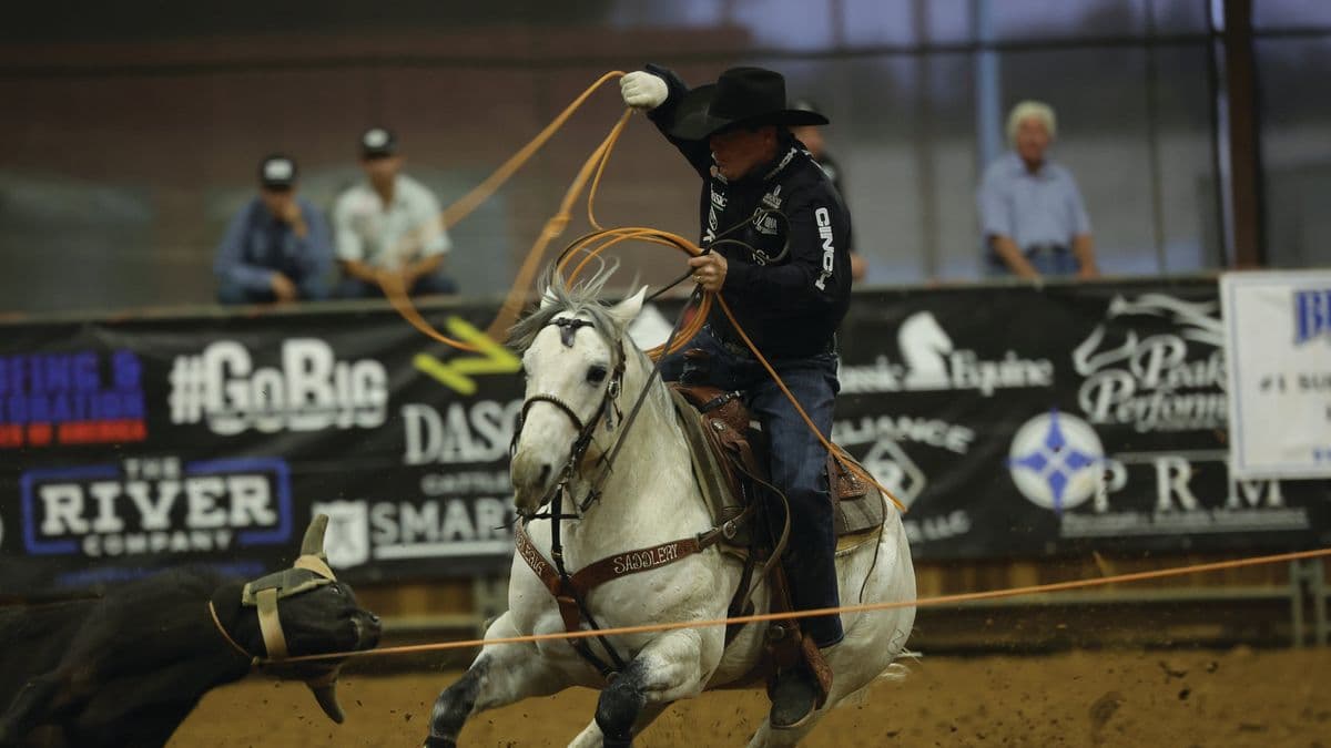 A heeler riding deep into the turn behind a steer during a run