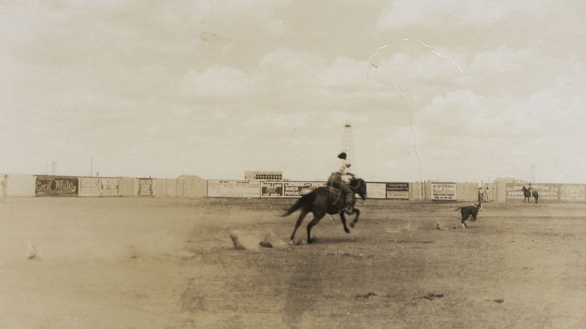 Bucking horse and rider airborne during rodeo event with grandstand and advertising signage visible in background