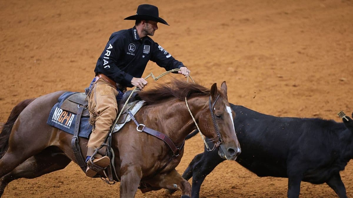 Rodeo competitor on horseback roping a steer during a ranch sorting event on a dirt arena