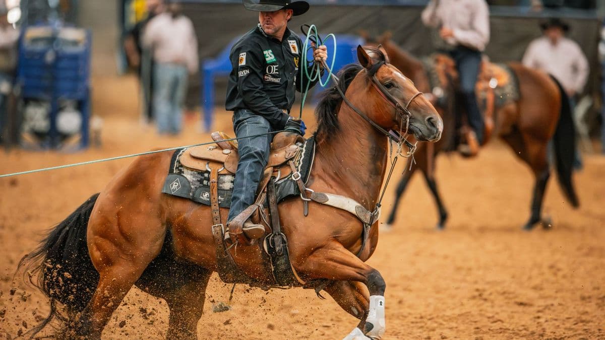 Trevor Brazile coils his rope as Kiri, a bay mare, drives into the ground turning a steer in Amarillo.
