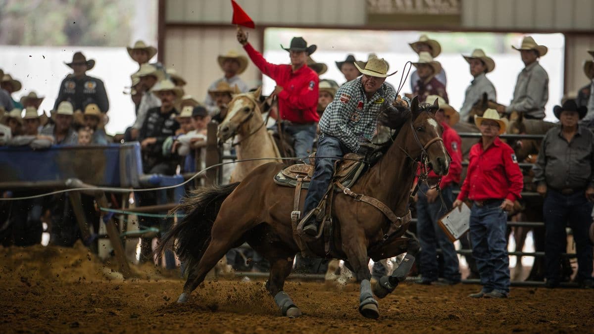 Rodeo competitor on brown horse races around barrel while holding red flag, with spectators and other contestants visible in arena stands