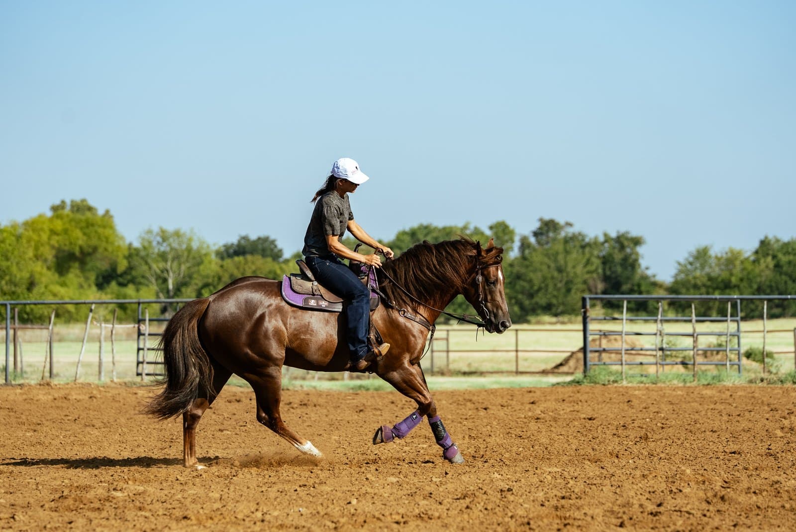 Barrel racer loping a sorrel horse in an outdoor arena